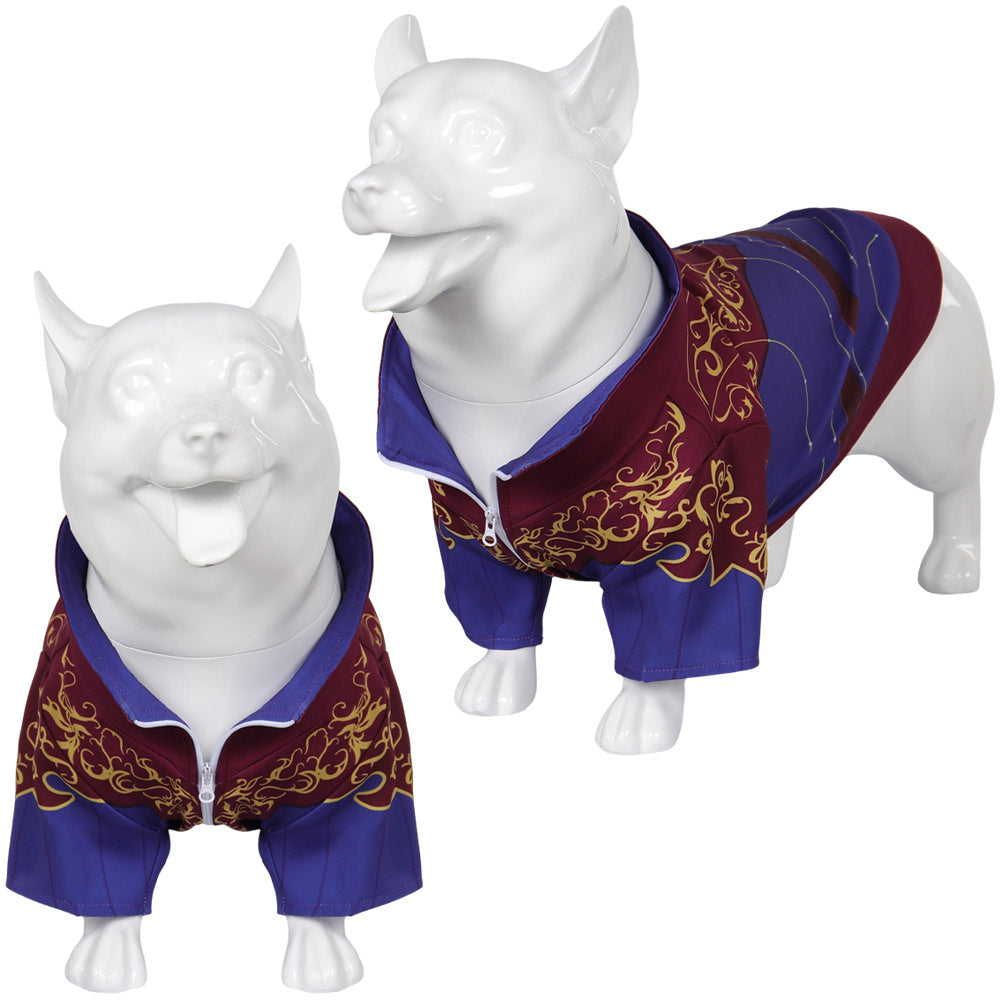 Baldur's Gate Astarion Pet Costume Dogs Clothes for Medium & Large Dog